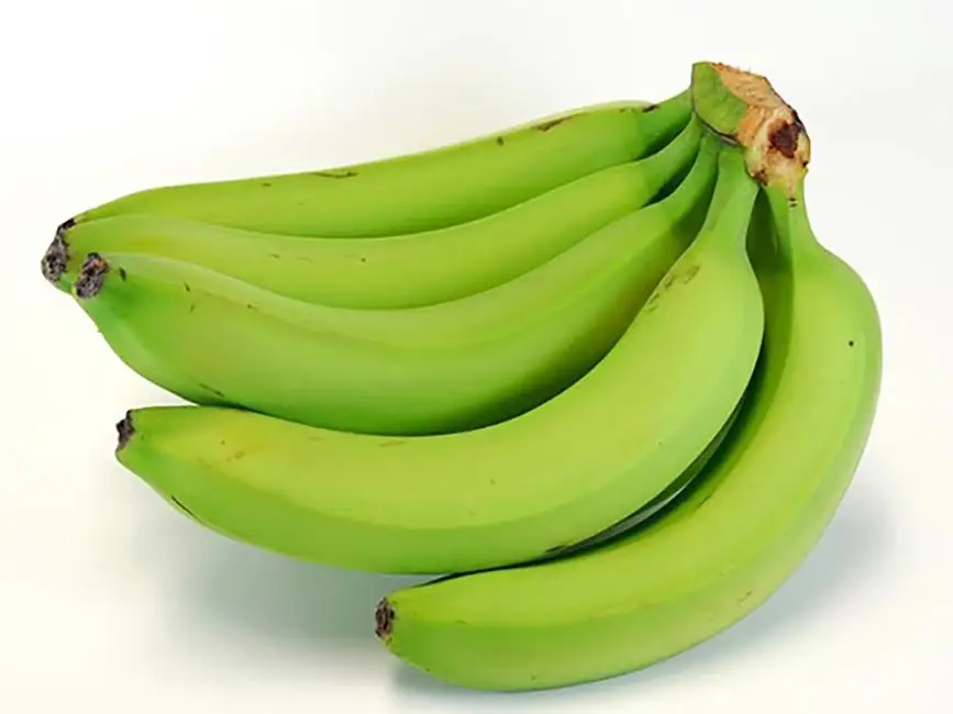 Avocado The Most Nutrient